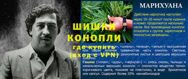 PSILOCYBIN Сясьстрой