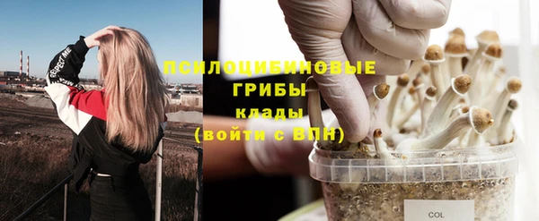 spice Балабаново